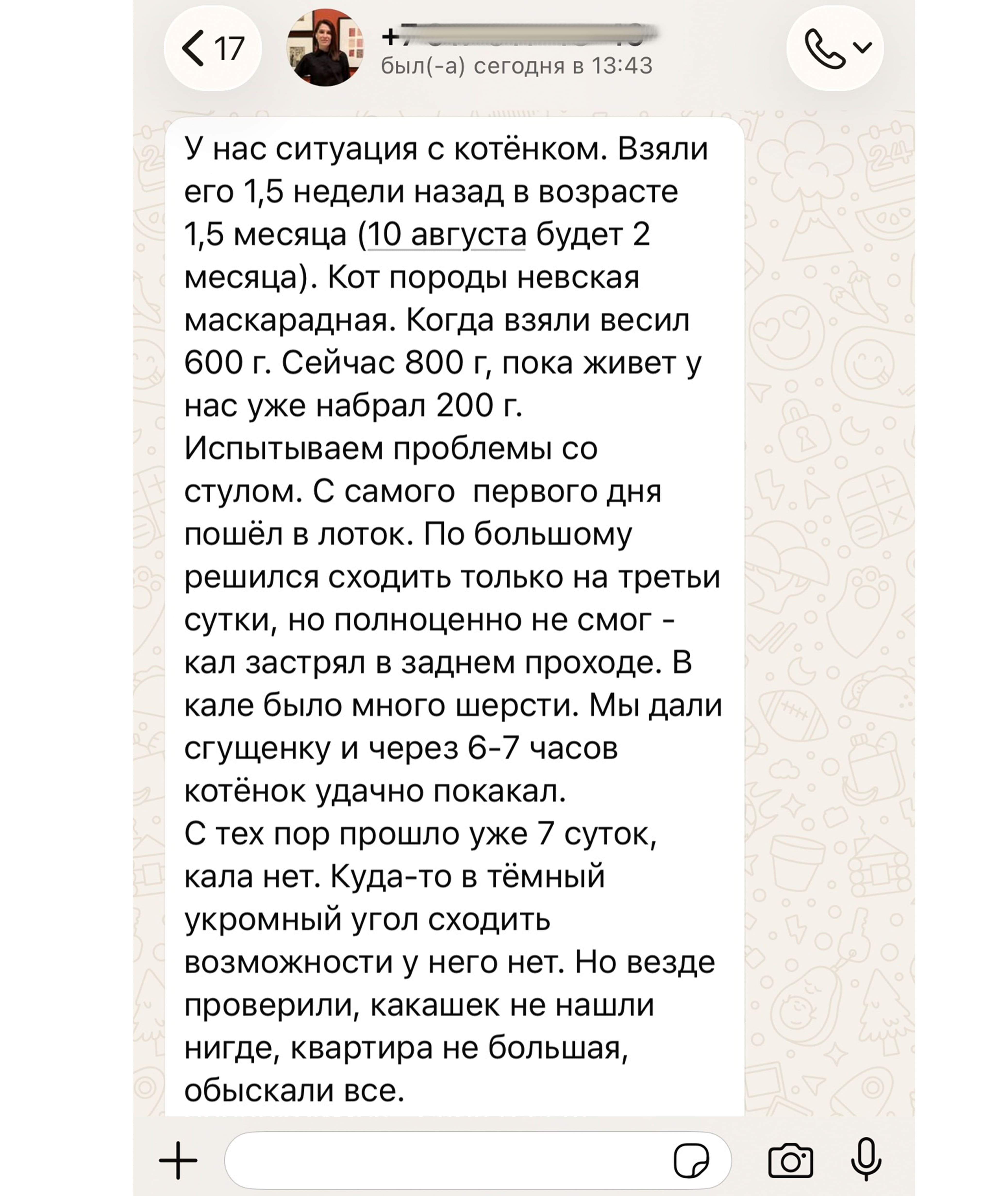 Пример консультации 1