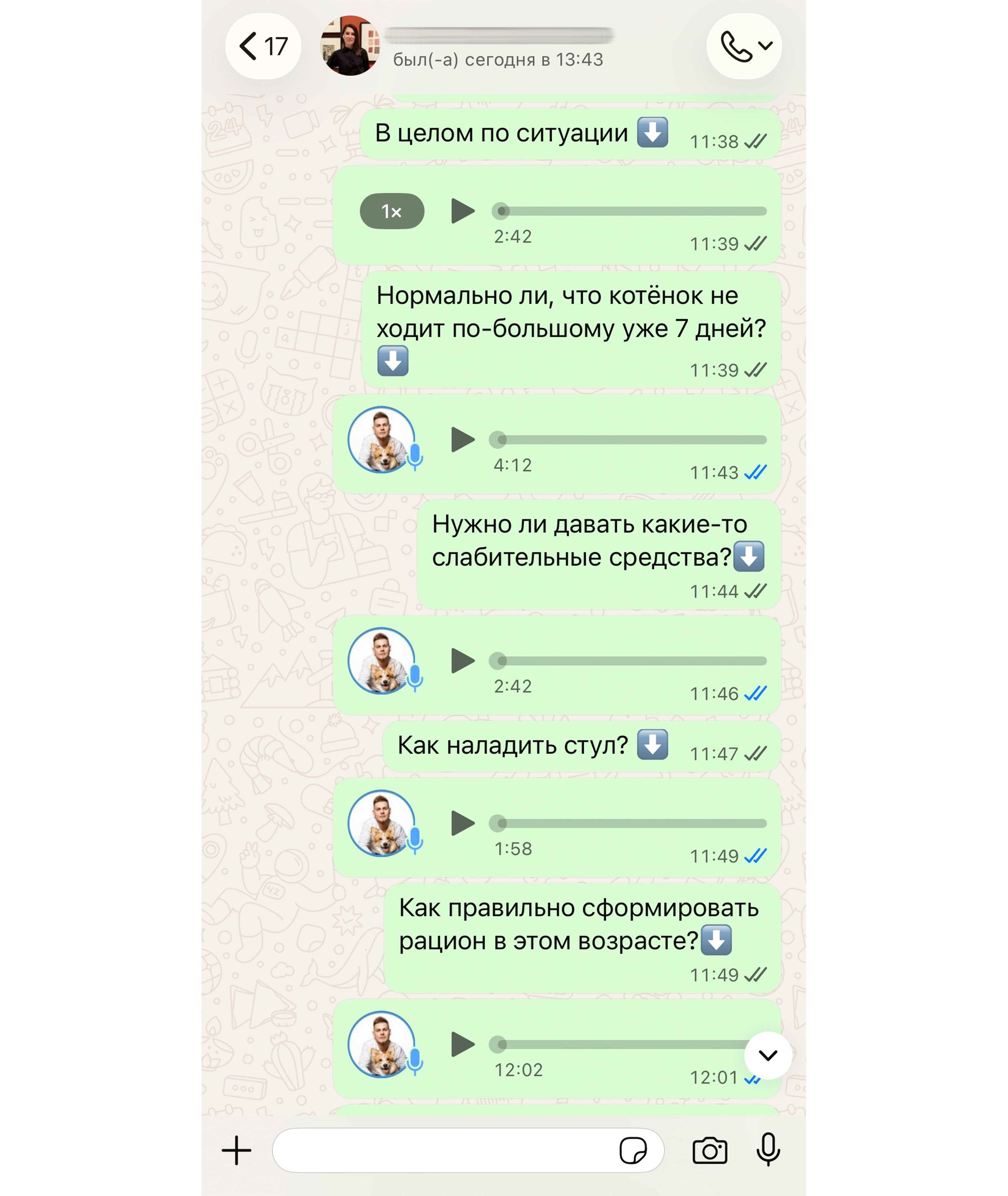 Пример консультации 3